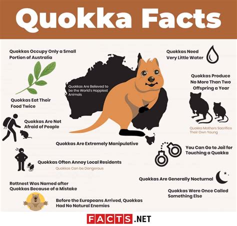quokka habitat map|what is a quokkas diet.
